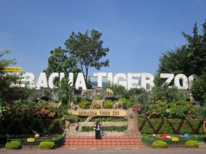 Welcome to Sriracha Tiger Zoo