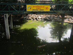 Kalo ini penangkaran buaya :P