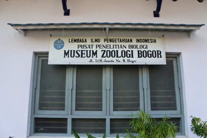 Belajar Biologi di Museum Zoologi
